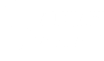 SSEI